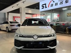 高尔夫 2025款 改款 300TSI R-Line