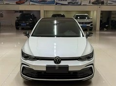 高尔夫 2021款 280TSI DSG R-Line