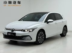 高尔夫 2021款 280TSI DSG Pro