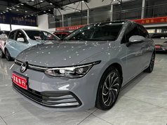 高尔夫 2021款 280TSI DSG Pro
