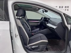 高尔夫 2021款 280TSI DSG 30周年纪念版