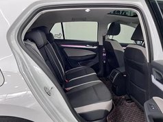 高尔夫 2021款 280TSI DSG 30周年纪念版