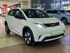 海豚 2025款 420km 自由版