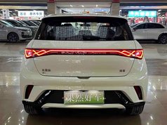 海豚 2025款 420km 自由版