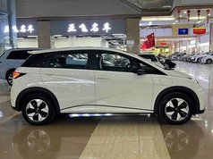 海豚 2025款 420km 自由版