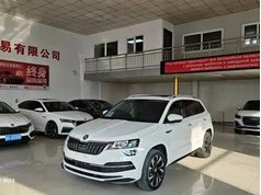 柯珞克 2021款 TSI280 旗舰版