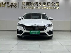 明锐 2021款 PRO TSI280 DSG尊贵版