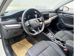 明锐 2021款 PRO TSI280 DSG尊贵版