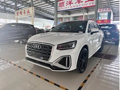 奥迪Q2L 2023款 35TFSI 进取动感型