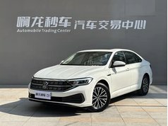 速腾 2024款 200TSI DSG飞越版