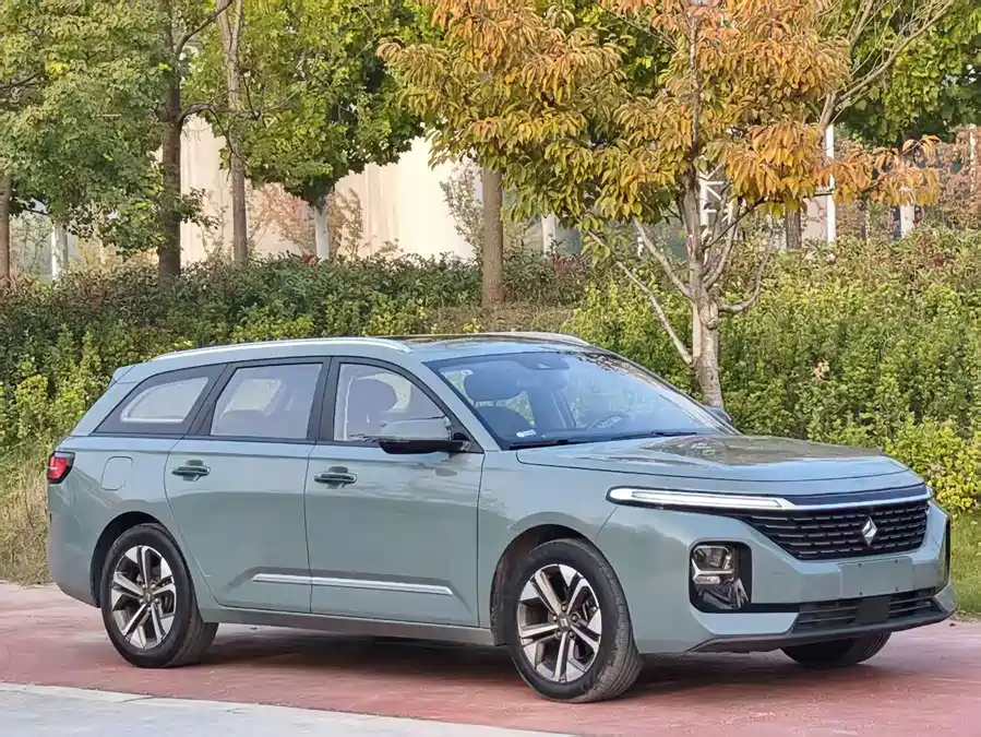 Baojun Valli, 2021