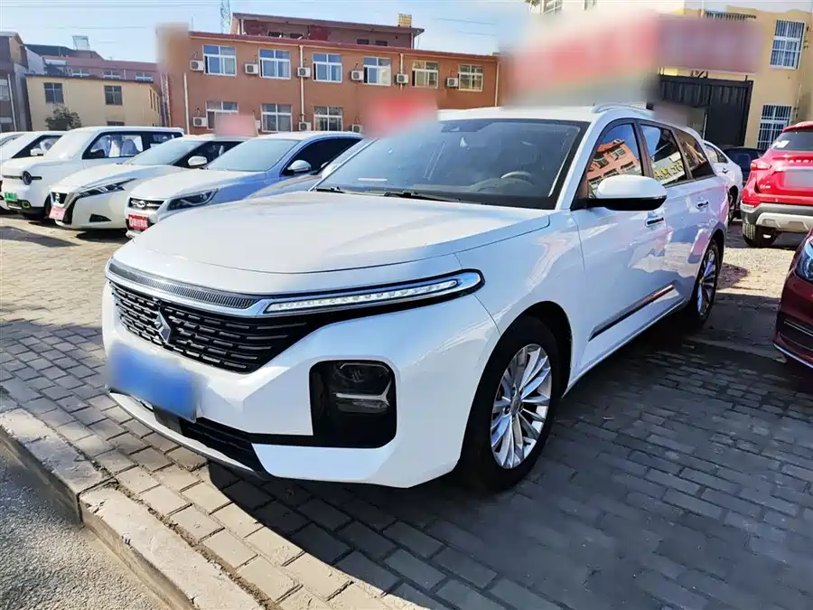 Baojun Valli, 2022