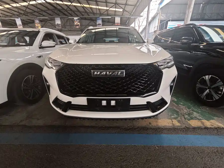 Haval H6, 2021 — фото 2