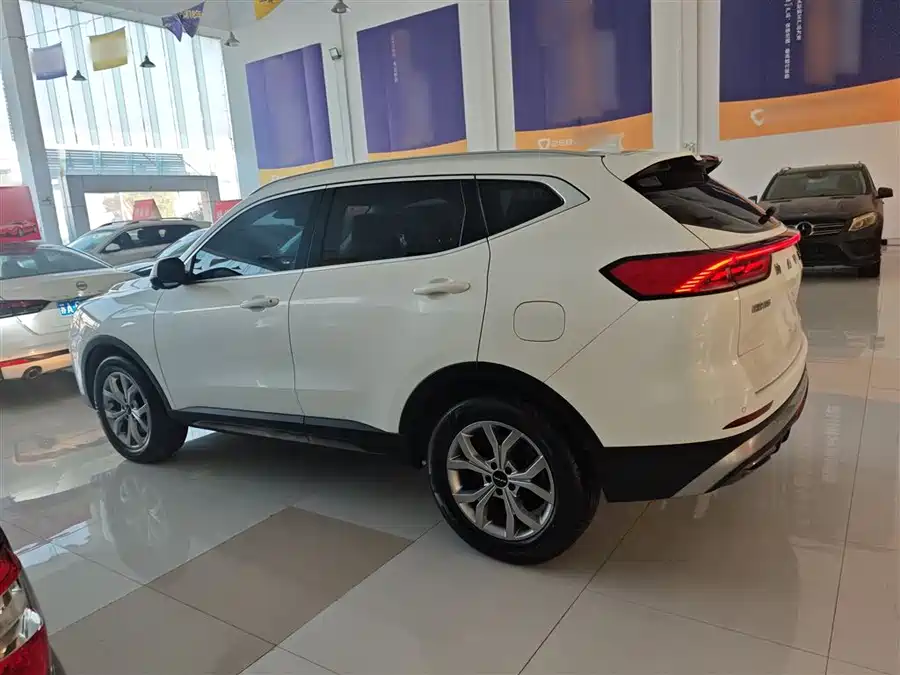 Haval H6, 2022 — фото 4