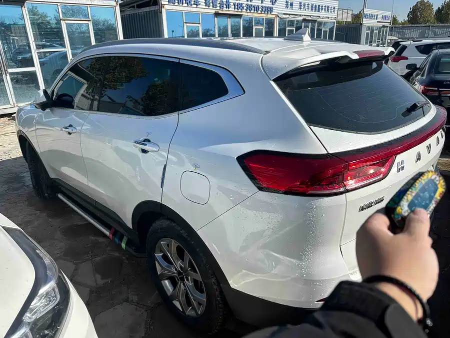 Haval H6, 2023 — фото 2