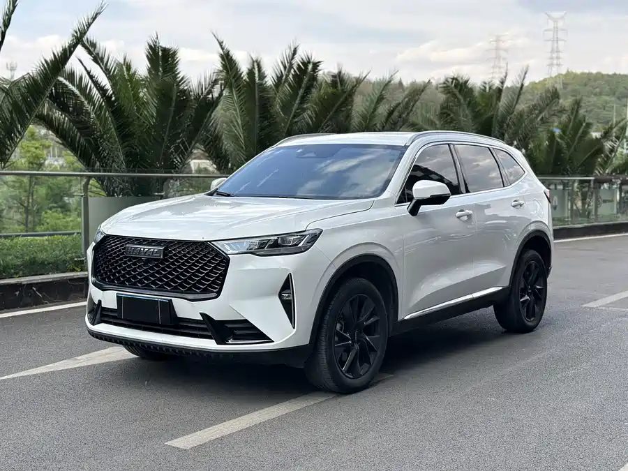 Haval H6, 2021