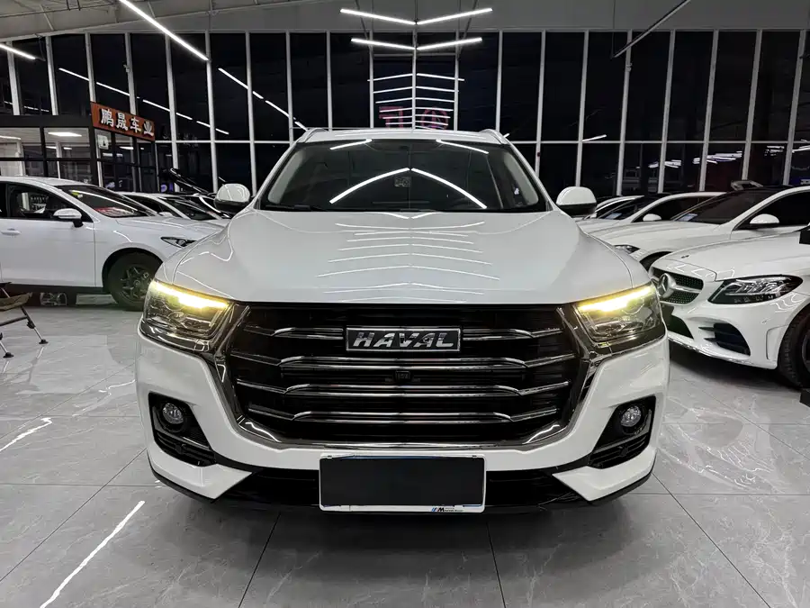 Haval H6, 2021 — фото 2