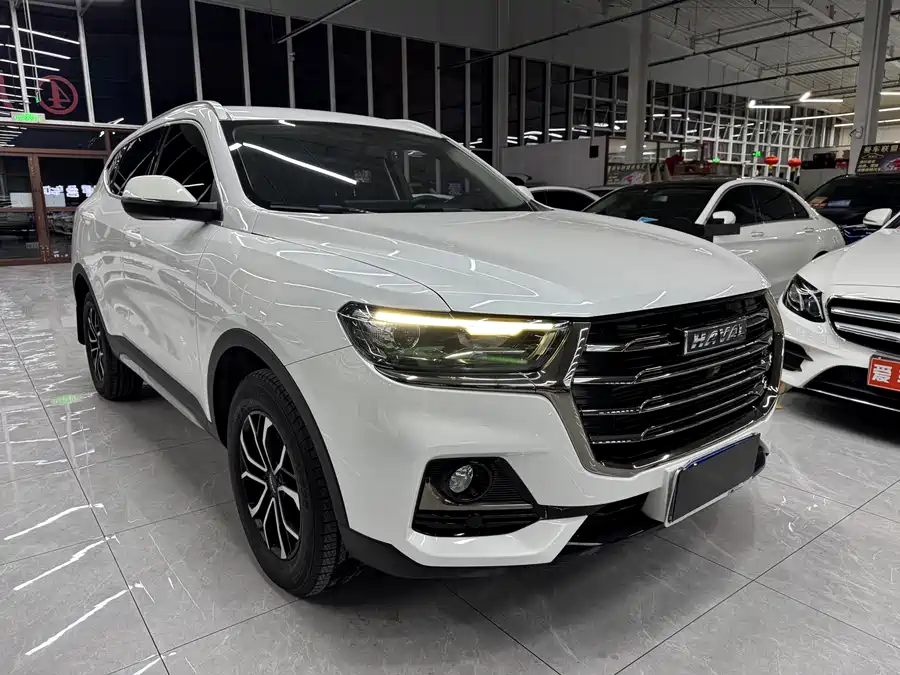 Haval H6, 2021 — фото 3