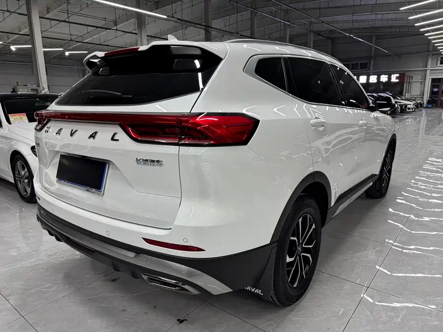 Haval H6, 2021 — фото 4
