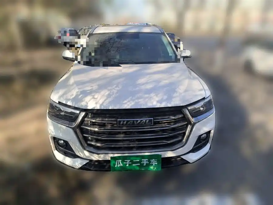 Haval H6, 2021 — фото 2