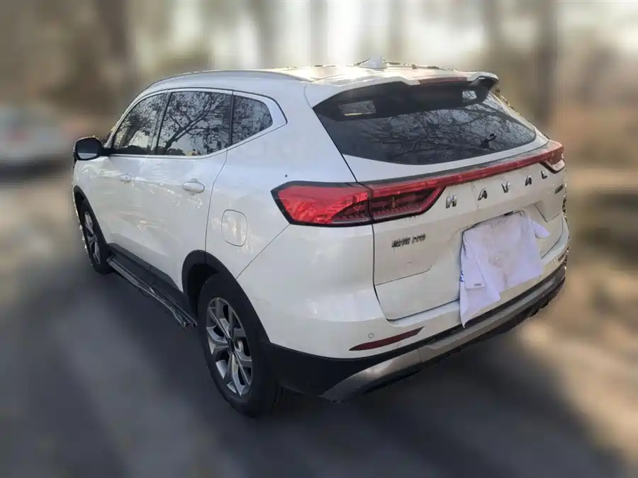 Haval H6, 2021 — фото 4