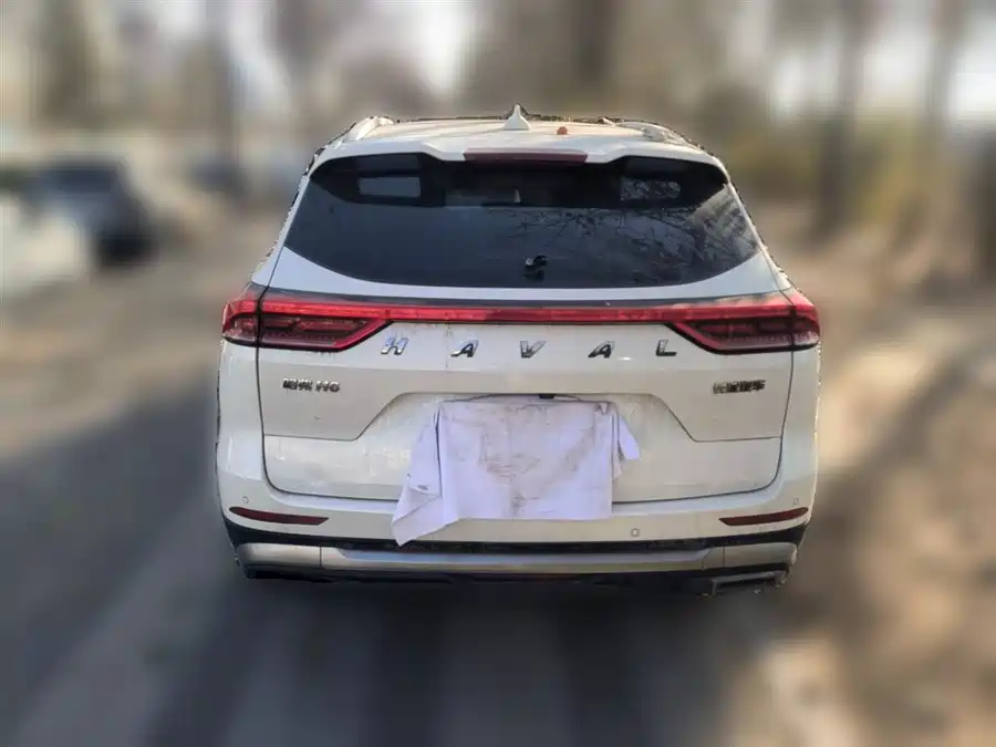 Haval H6, 2021 — фото 5
