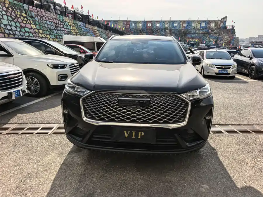 Haval H6, 2021 — фото 2