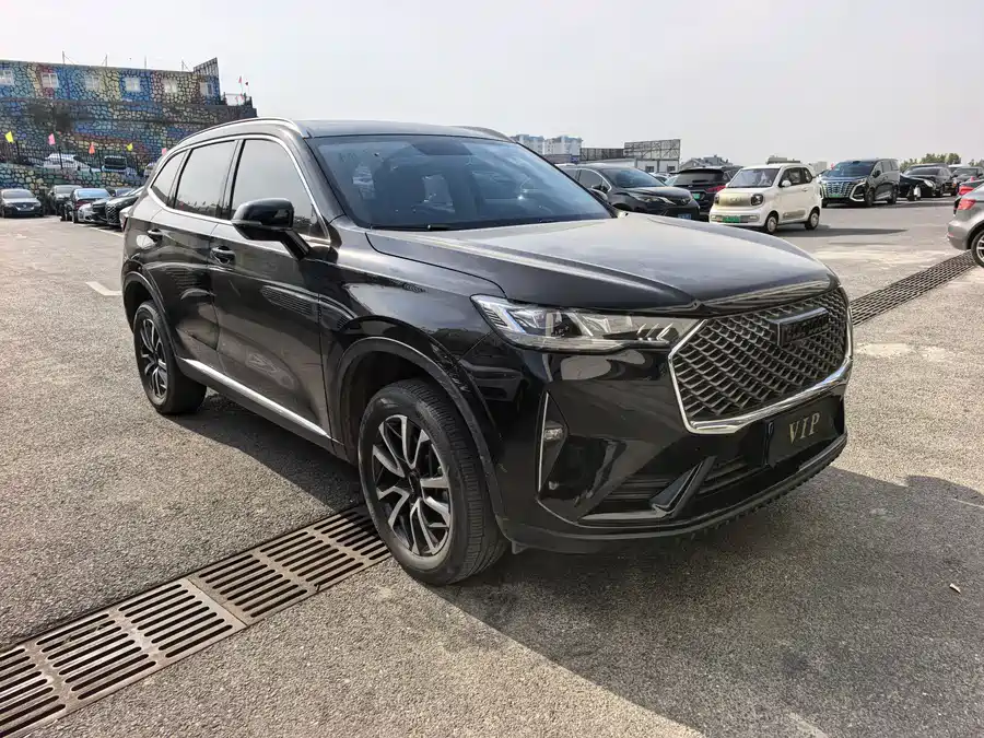 Haval H6, 2021 — фото 3