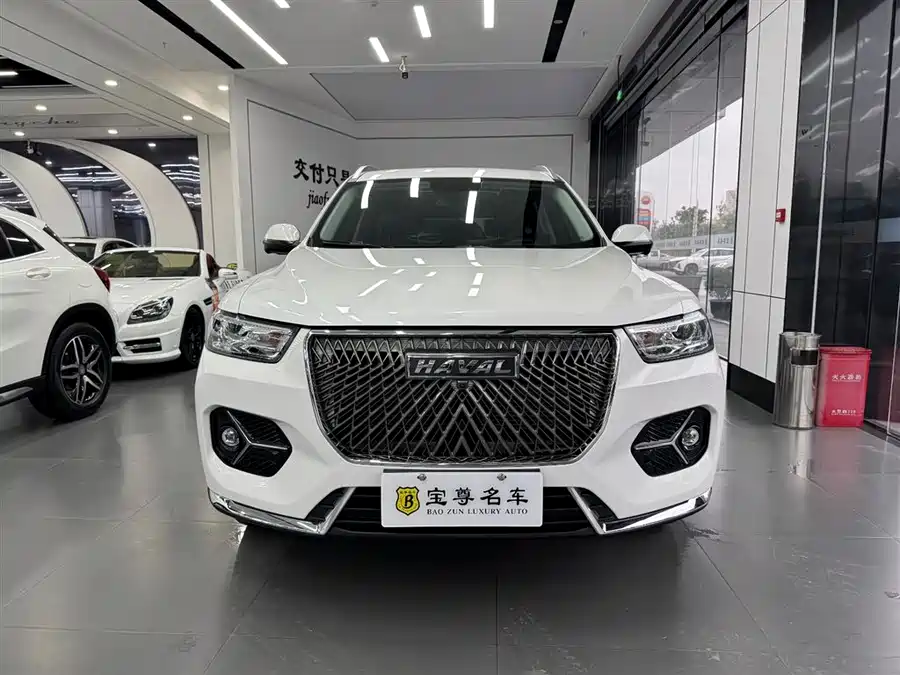 Haval H6, 2021 — фото 2