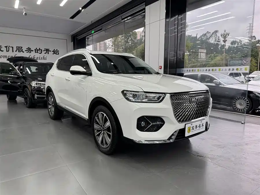 Haval H6, 2021 — фото 3