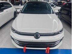 高尔夫 2025款 300TSI Pro