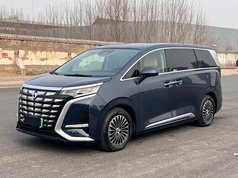 腾势D9 2022款 DM-i 1040 尊贵型