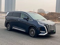 腾势D9 2022款 DM-i 1040 尊贵型