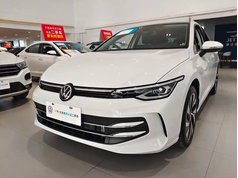 高尔夫 2025款 300TSI Pro