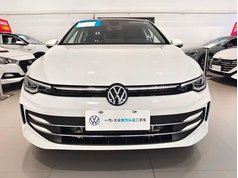 高尔夫 2025款 300TSI Pro