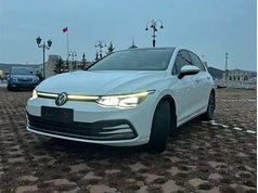 高尔夫 2021款 280TSI DSG Pro