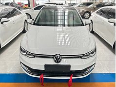 高尔夫 2021款 280TSI DSG Pro