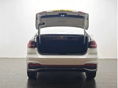 朗逸 2024款 300TSI DSG满逸版