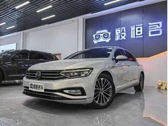 迈腾 2020款 330TSI DSG 豪华型