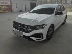 朗逸 2024款 300TSI DSG星空满逸版