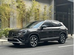 探岳 2024款 300TSI 两驱豪华Plus进阶版