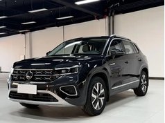 探岳 2023款 280TSI 两驱豪华Plus进阶版