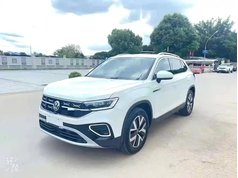 探岳 2023款 300TSI 两驱豪华Plus进阶版