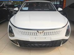 五菱星光 2025款 70km 智能标准型