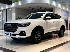 哈弗H6 2025款 1.5T 国潮都市版