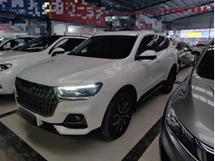 哈弗H6 2023款 国潮版 1.5T 自动都市版