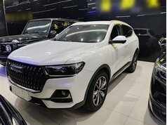 哈弗H6 2023款 国潮版 1.5T 自动冠军版