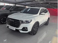 哈弗H6 2021款 国潮版 1.5T 自动都市版