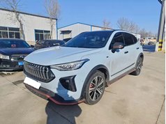 哈弗赤兔 2022款 1.5L DHT王者兔