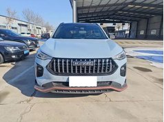 哈弗赤兔 2022款 1.5L DHT王者兔